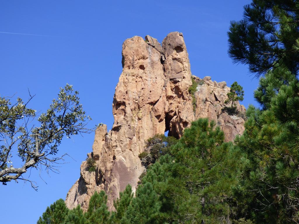 爱斯特尔全海景住宿加早餐旅馆 Saint-Jean-de-l'Esterel 外观 照片