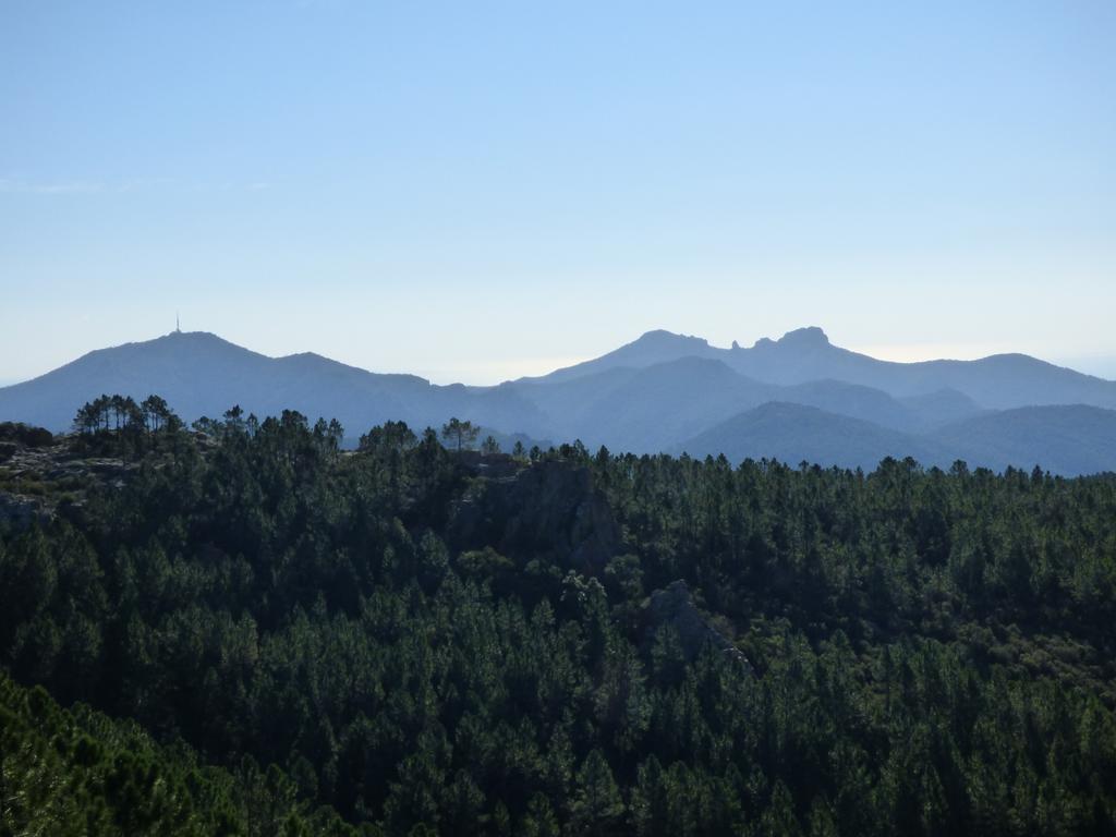爱斯特尔全海景住宿加早餐旅馆 Saint-Jean-de-l'Esterel 外观 照片
